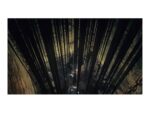 Dark Souls Trilogy [Playstation 4] – Bild 2