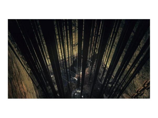 Dark Souls Trilogy [Playstation 4] – Bild 2
