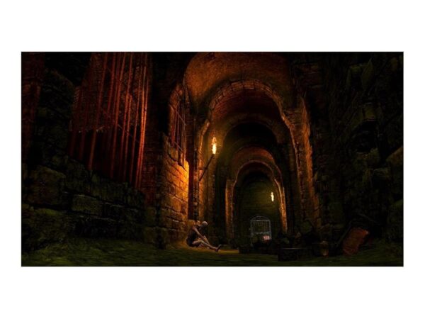 Dark Souls Trilogy [Playstation 4] – Bild 3