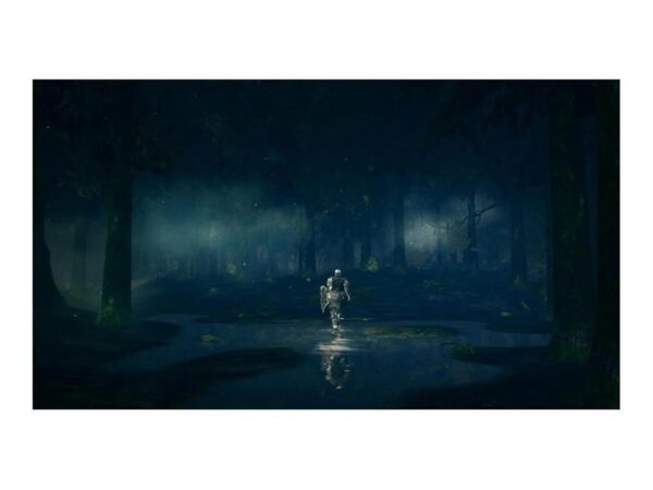 Dark Souls Trilogy [Playstation 4] – Bild 5