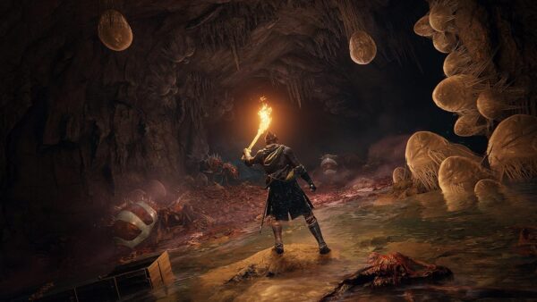 Elden Ring [PlayStation 5] – Bild 3