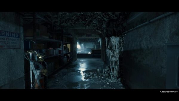 Death Stranding: Director's Cut PlayStation 5 – Bild 6