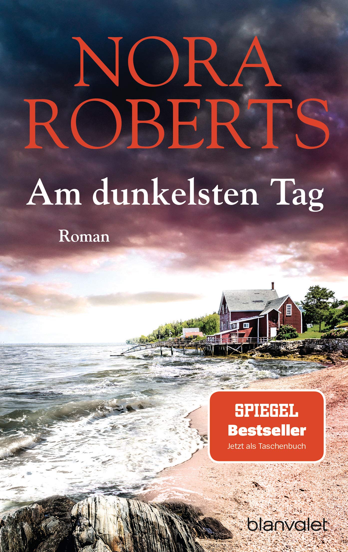 9783734107092.jpg Am dunkelsten Tag: Roman (Wie neu) – Bild 1